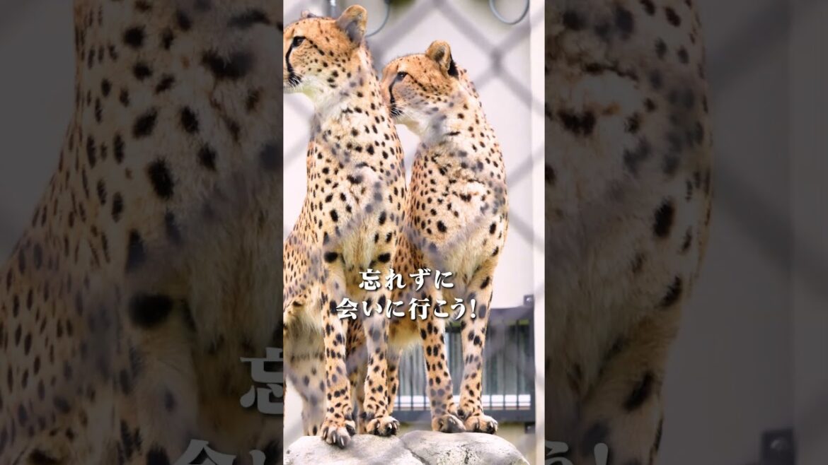 千葉市動物公園｜千葉のおすすめお出かけスポット