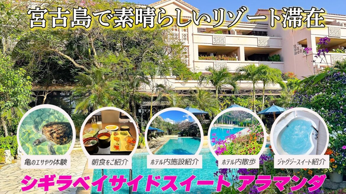 宮古島🌺最高過ぎるリゾートホテル 「アラマンダ」 での過ごし方を徹底解説 ♪ジャグジースイート 宮古島🌺最高過ぎるリゾートホテル 「アラマンダ」 での過ごし方を徹底解説 ♪ジャグジースイート