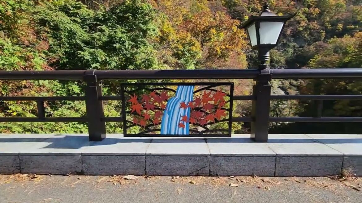 Senzugawa Valley in Autumn