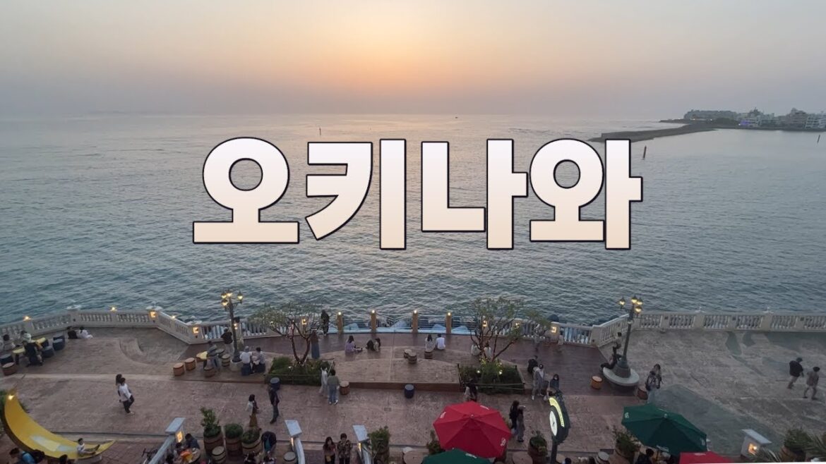 겨울에 좋은 오키나와 여행 가이드. 1월 현재 벚꽃 폈다함