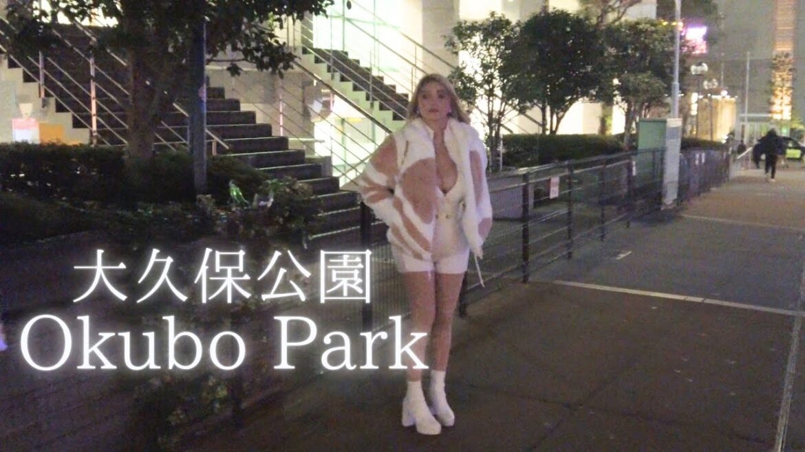 Kabukicho of Desire: A Walk Through Okubo Park at Night Kabukicho of Desire: A Walk Through Okubo Park at Night