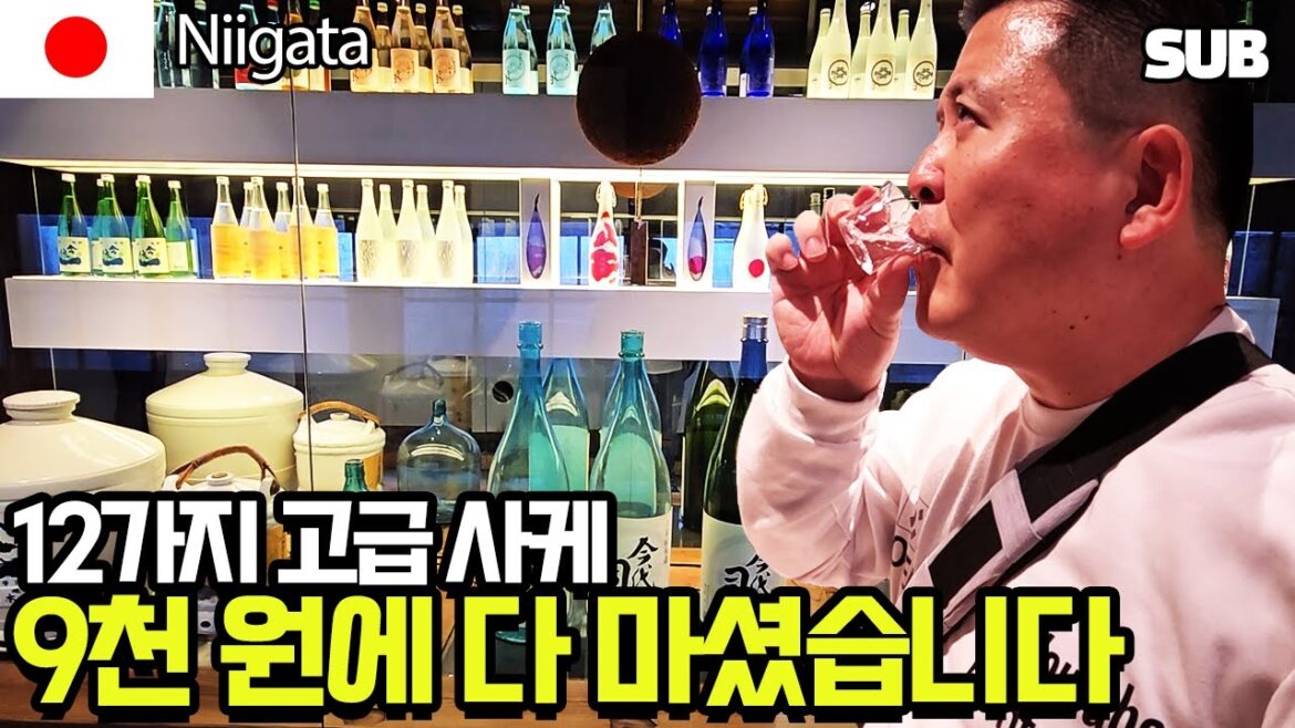 니가타 이마요츠카사 양조장 프리미엄 사케 시음 체험 [일본 여행 10편]
