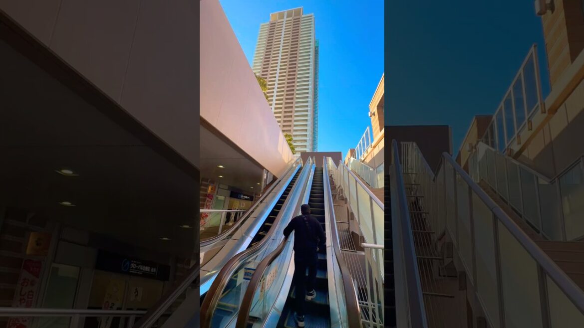 Chiba, Ichikawa #travel #nepaljapan #travelvlog #nepaliinjapan #japantravel