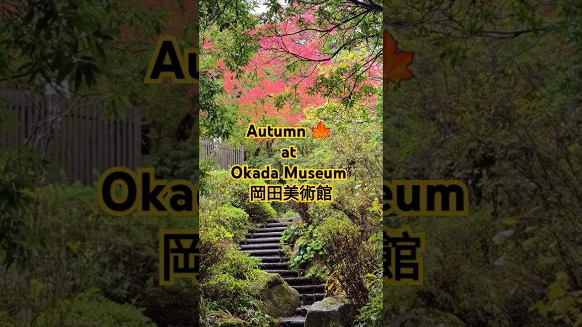 Okada Museum of Art: A Hidden Gem in Hakone #japantravel #hakone #museum Okada Museum of Art: A Hidden Gem in Hakone #japantravel #hakone #museum