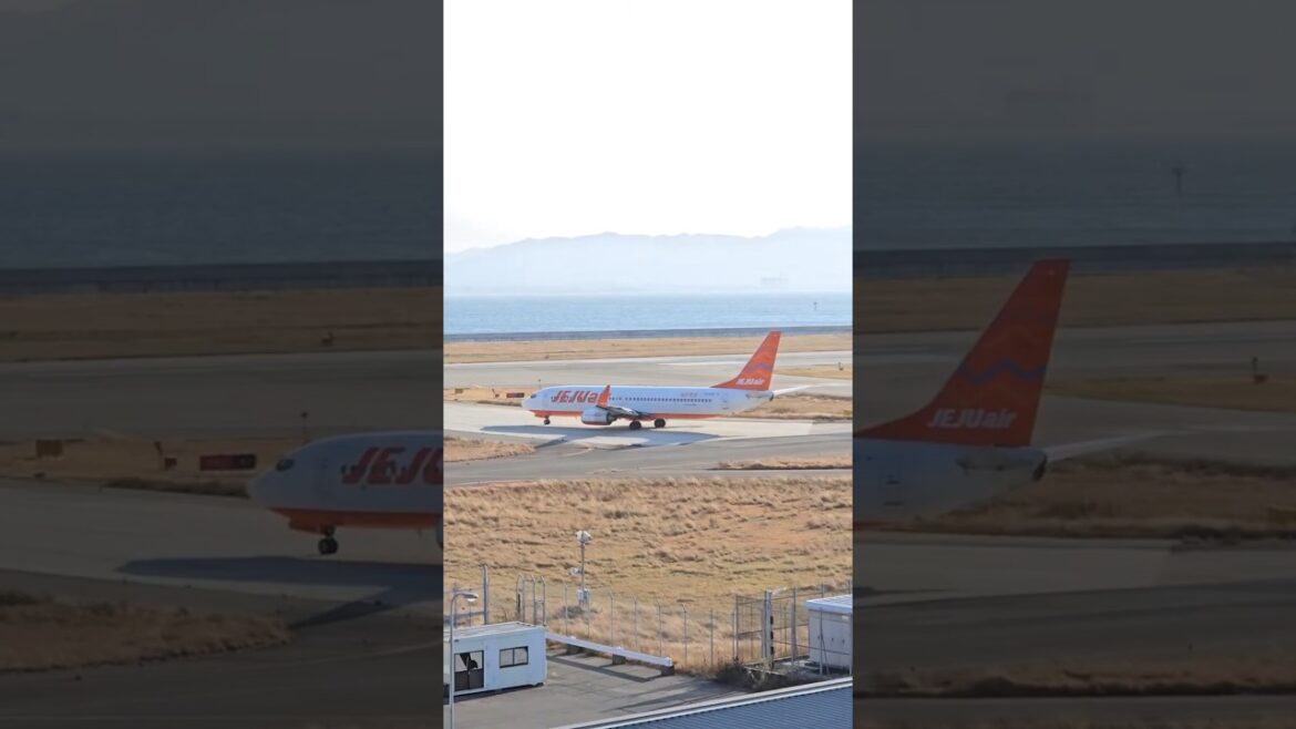 Jeju Air Osaka Airport Planespotting Hong Kong Express Airlines #osakaairport #avgeek