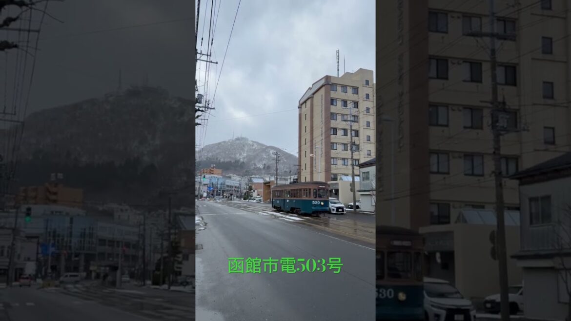 函館市電レトロ530号 #函館 #路面電車 #shorts