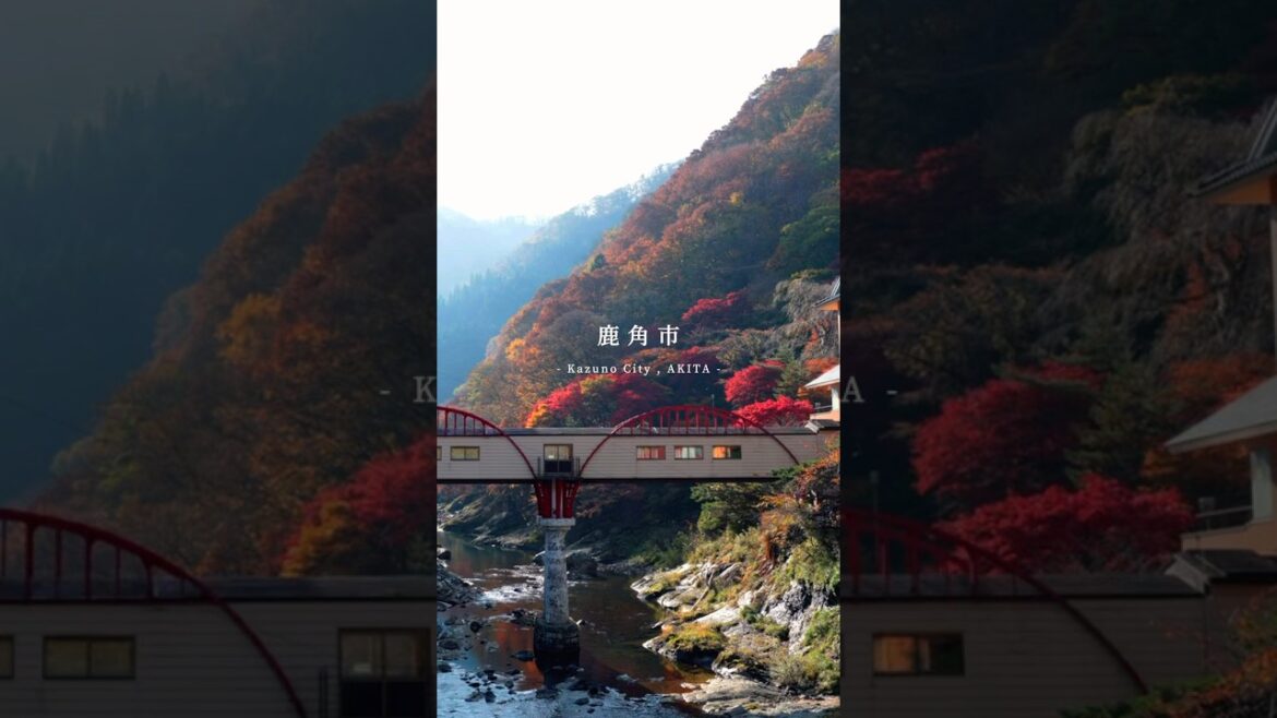 『 世界遺産の街 鹿角市 』を知らずにはいられなくなります…! 『 世界遺産の街 鹿角市 』を知らずにはいられなくなります...!