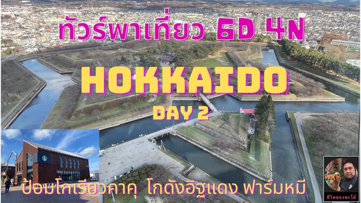 TTN Tour พาเที่ยว Hokkaido day 2  ฮาโกะดาเตะ โทยะ  ฤดูใบไม้ร่วง  | พะโล้อยากเที่ยว Ep.29.2