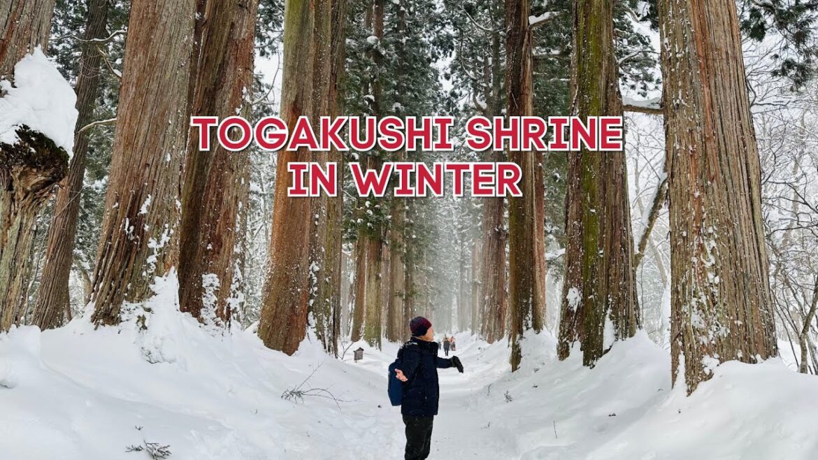 [4K60FPS] ‼️Visiting Togakushi Shrine in Winter | 13 January 2025‼️ (Japan🇯🇵)