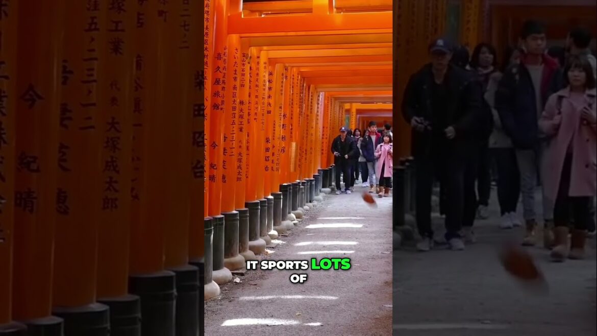 Discover the Magic of Kyoto  Japan's Timeless Beauty