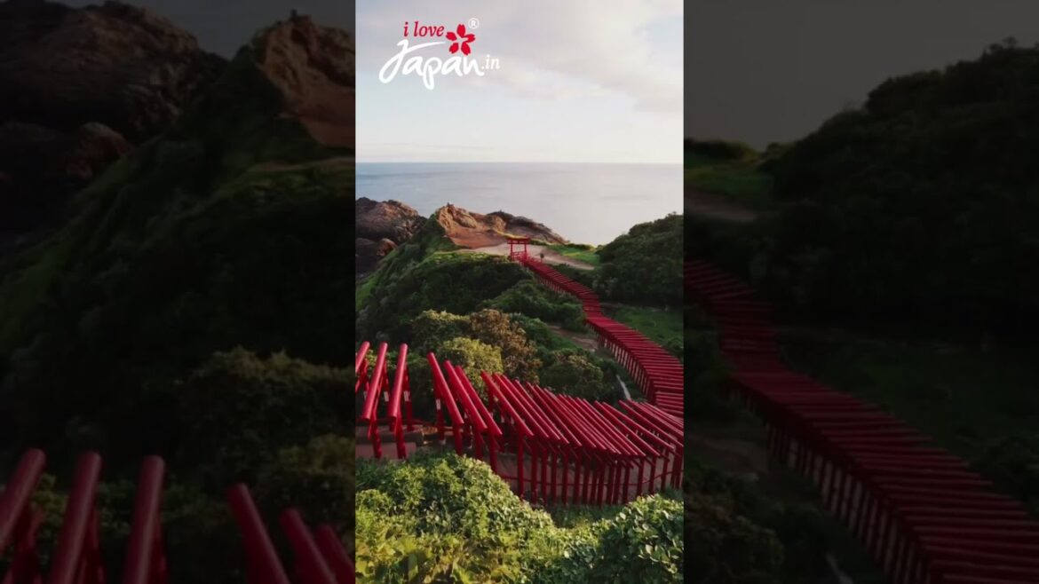 NAGANO, JAPAN  #travel #japantraveller #japaneseculture #visitjapan #christmas #japantown  #love