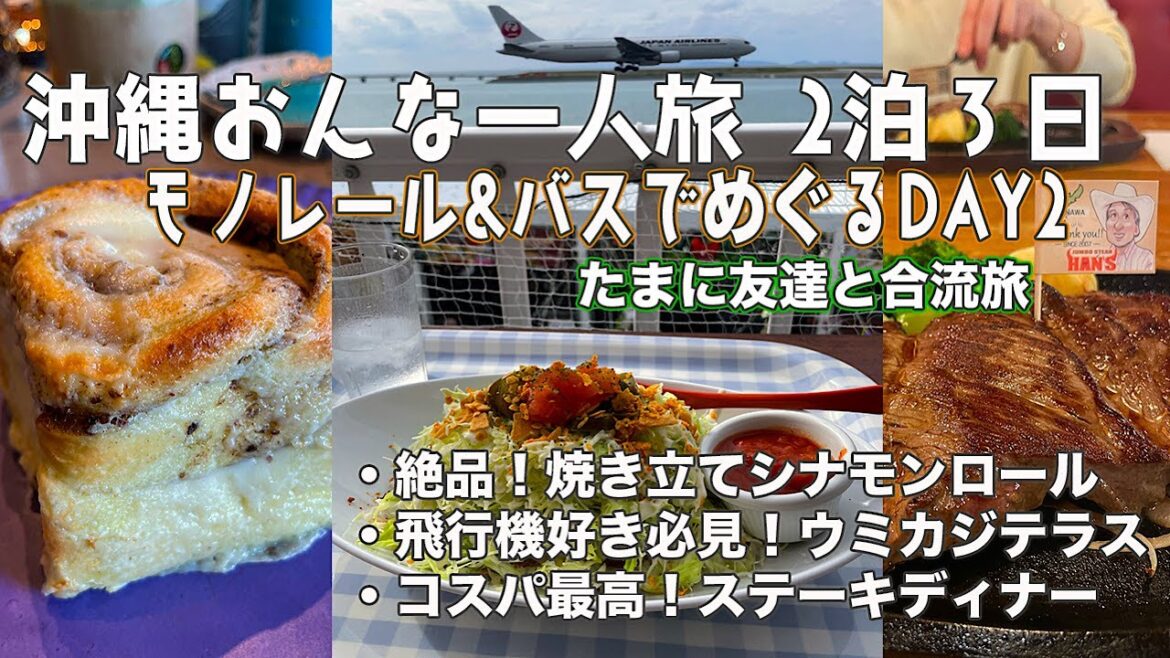 【沖縄/女ひとり旅②】モノレール&バスでめぐる沖縄!焼き立てシナモンロールモーニング!絶景のウミカジテラスランチ!コスパ最強のステーキディナー、国際通り散歩楽しんできた! 【沖縄/女ひとり旅②】モノレール&バスでめぐる沖縄!焼き立てシナモンロールモーニング!絶景のウミカジテラスランチ!コスパ最強のステーキディナー、国際通り散歩楽しんできた!