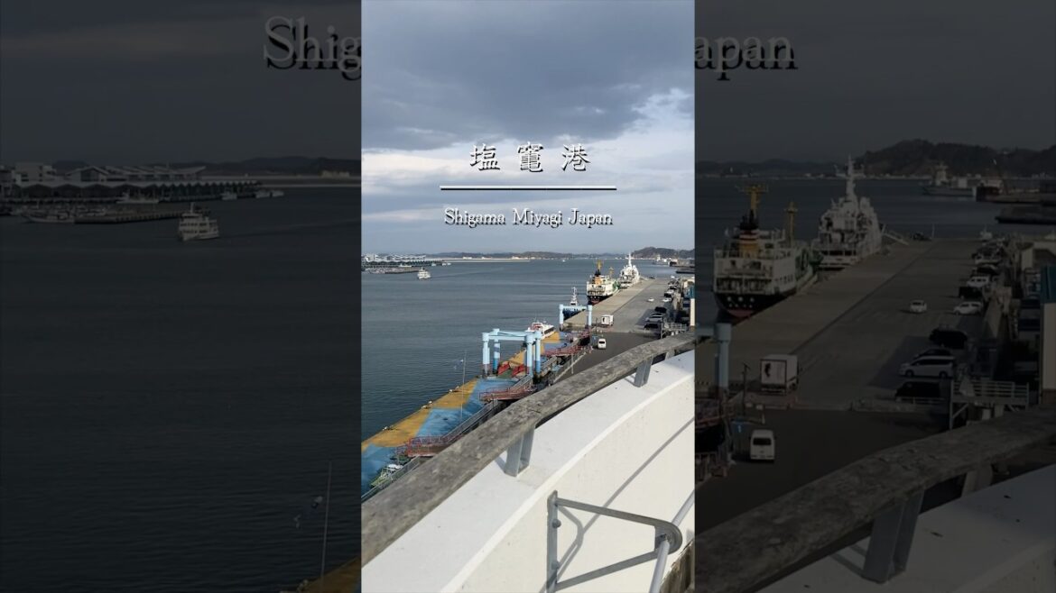 ま、ちょっと頑張ってみるか　#塩竈 #塩竈市 #宮城県 #塩竈海の駅 #魚市場#海 #風景 #日本の風景