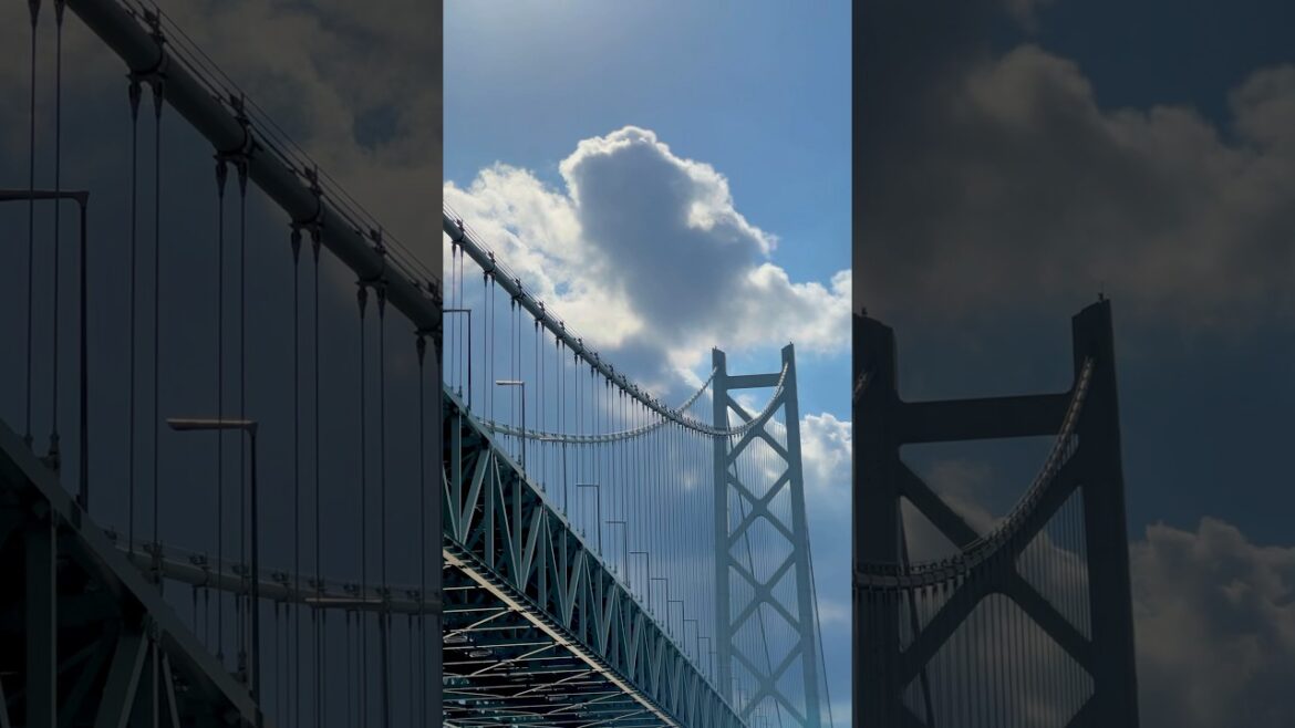 고베 근교 경치맛집🔥 Best viewpoint near KOBE🔥