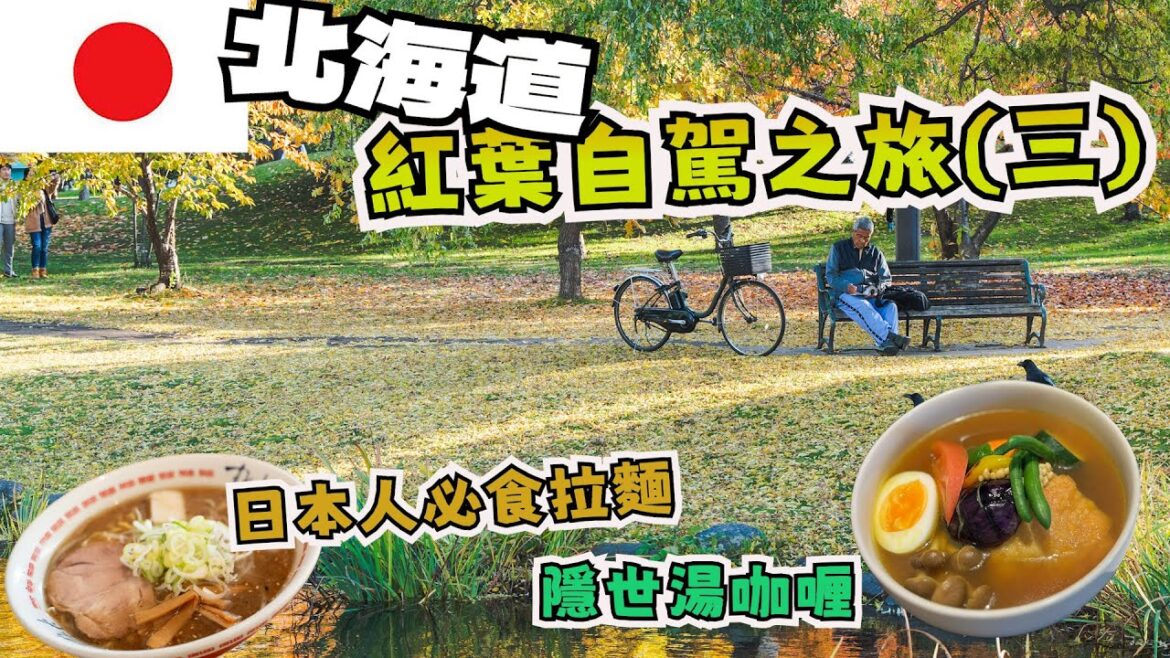 [🍁日本北海道紅葉之旅EP3] 大沼國定公園 | 洞爺湖萬世閣酒店 | 必吃拉麵sumire |  札幌 | 北海道神宮 | 自駕攻略 | 必吃壽司Toriton | 中島公園 | 隱世湯咖喱