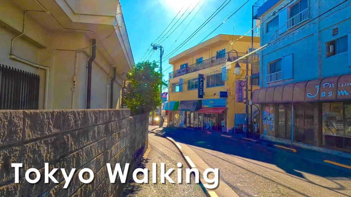 Walking Tour in Tokyo Musashinodai Japan 4K