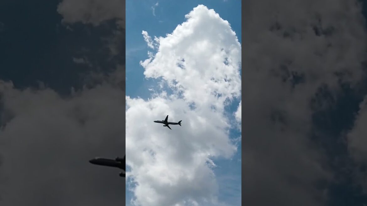 The flight #traveljapan #airplane #departure