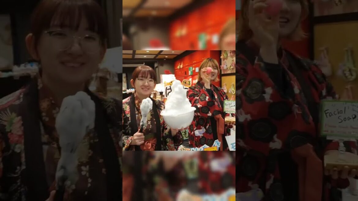 Kyoto, Uji and Kobe Travel Highlights!