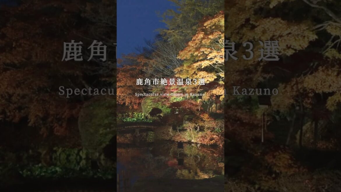 大自然に囲まれたホテルに癒されませんか...？