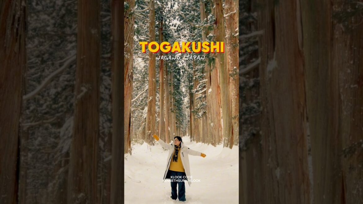 WINTER AT TOGAKUSHI NAGANO JAPAN
