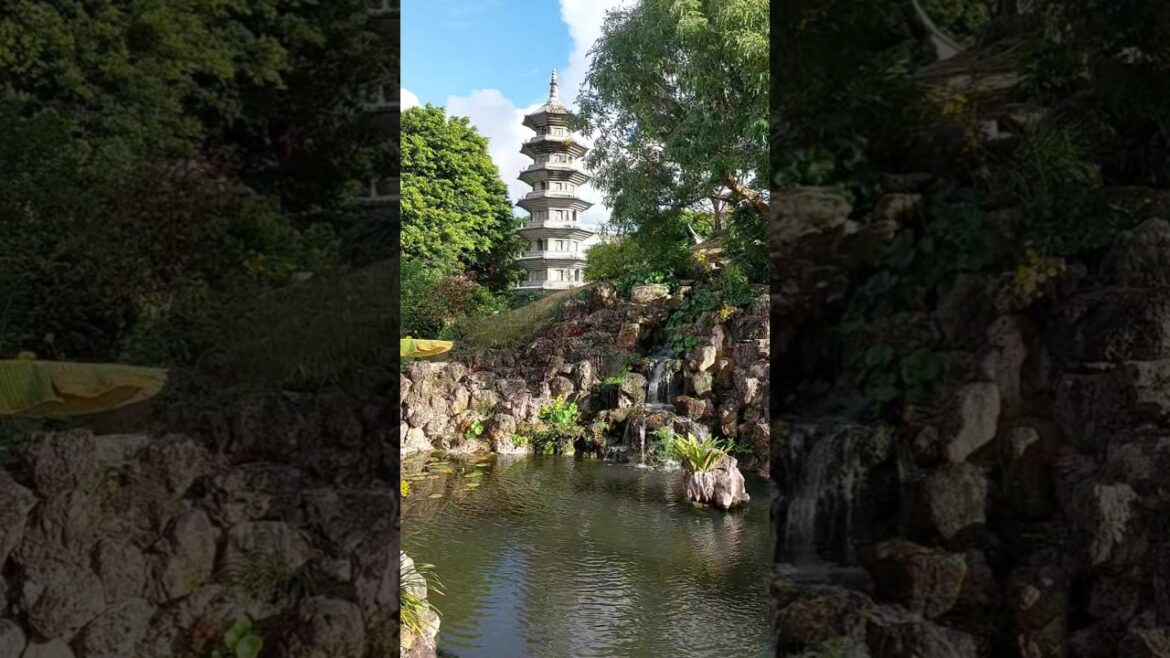 Fukusyuen Garden #naha #okinawa #japan