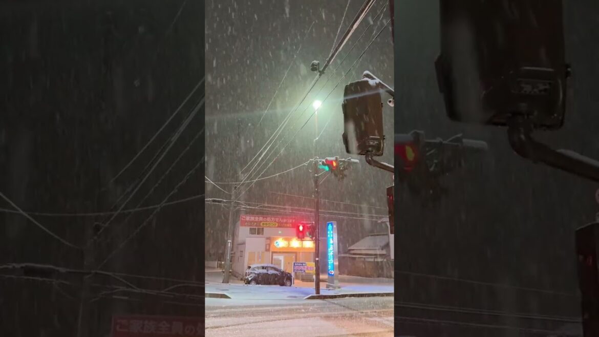 밤새 내린 눈은 낭만이 되어. #nagano