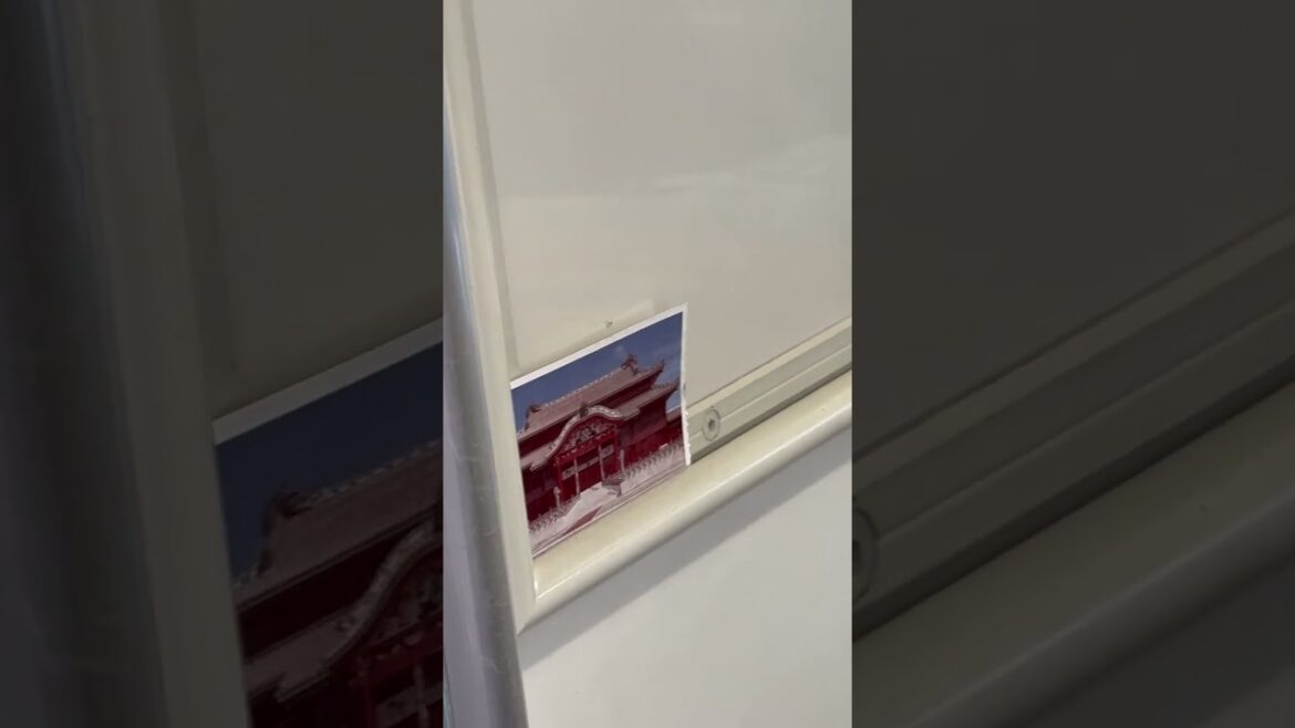 【何これ】ゆいレール車内の広告枠に小さい首里城の写真がある #shorts