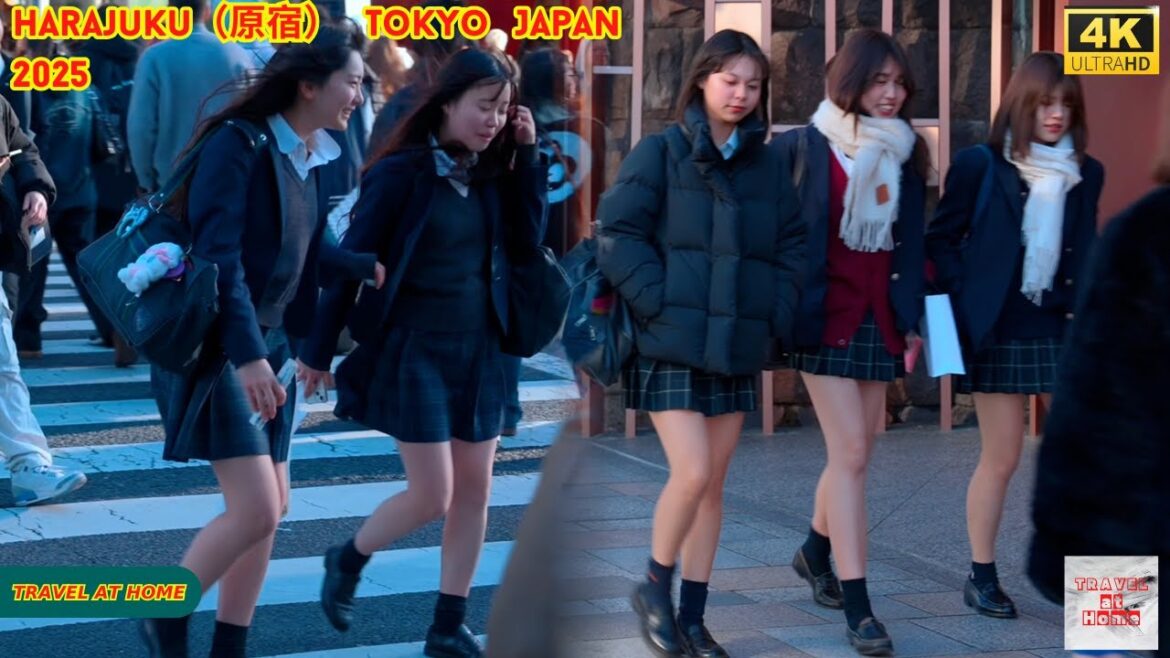 4k hdr japan travel 2025 | Walk in Harajuku（原宿）Tokyo Japan |  Relaxing Natural City ambience