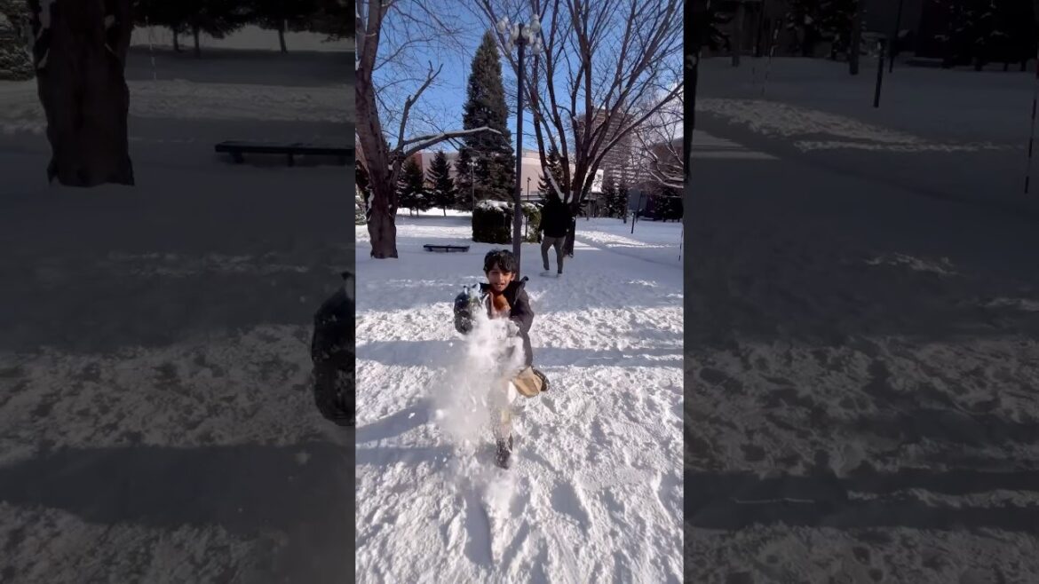 When seen snow for the first time Sapporo, Japan