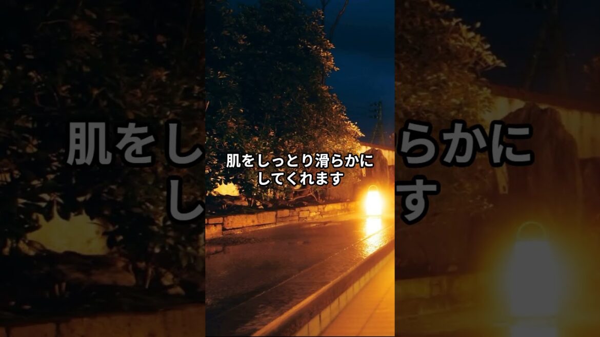 【孝ちゃんの旅行日記(Kochan’s Travel Diary)】日本全国の温泉地紹介!!(新潟県) #asiantravel #旅のヒント#温泉地#新潟県 【孝ちゃんの旅行日記(Kochan's Travel Diary)】日本全国の温泉地紹介!!(新潟県) #asiantravel #旅のヒント#温泉地#新潟県