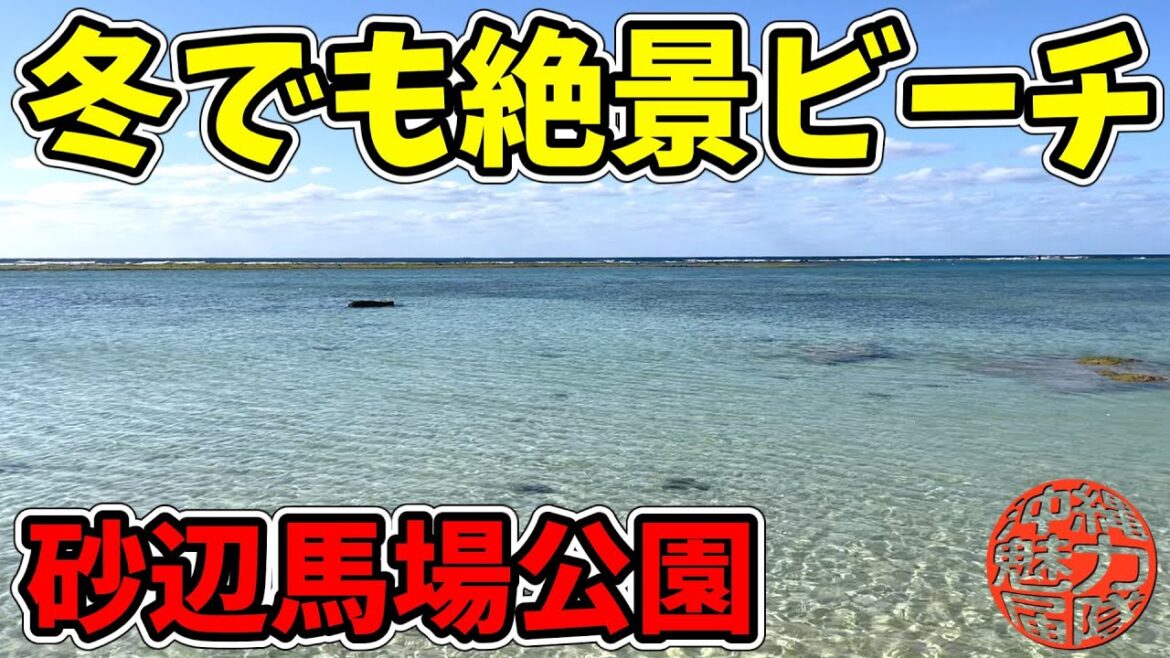 【砂辺ビーチ】冬でも晴れてくれれば綺麗な景色が見れる砂辺馬場公園と砂辺海岸!砂辺龍宮神で御願! 【砂辺ビーチ】冬でも晴れてくれれば綺麗な景色が見れる砂辺馬場公園と砂辺海岸!砂辺龍宮神で御願!