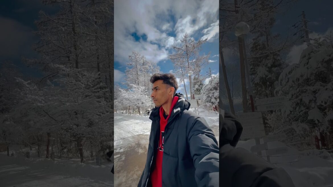 Nagano 🇯🇵❄️ #nagano #naganoprefecture #japantravel #japanwinter