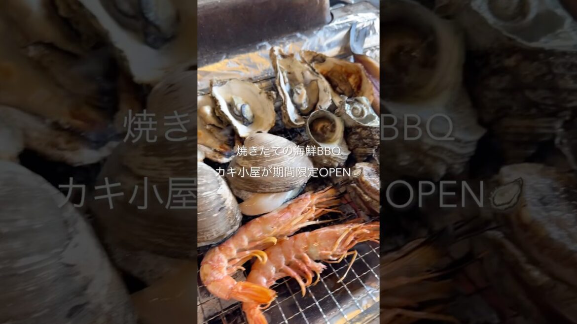 【豊田にカキ小屋が出現🦪】豊田市駅に期間限定OPEN！1/26まで！ぜひ行ってみてね👍🤍　📍牡蠣奉行 #豊田市駅 #豊田グルメ #牡蠣小屋 #牡蠣 #bbq