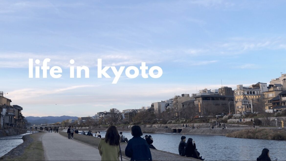 kyoto diaries 🍥 kamogawa, kinkakuji, hirano shrine, yokai museum, flea markets, traveler’s factory