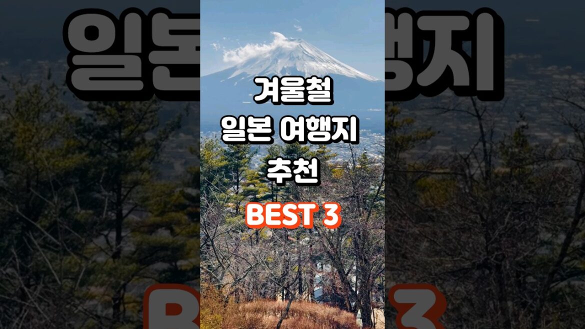 겨울철 일본 여행지 BEST3 어디로 여행갈지 고민일때 #겨울여행 #연휴 #일본 #여행지 #추천 #훗카이도 #니가타 #교토 #힐링 #고양이 #kpop