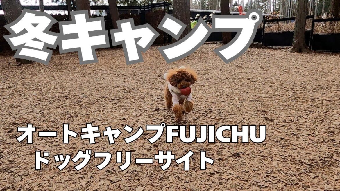 冬キャンプ！超高規格キャンプ場へ