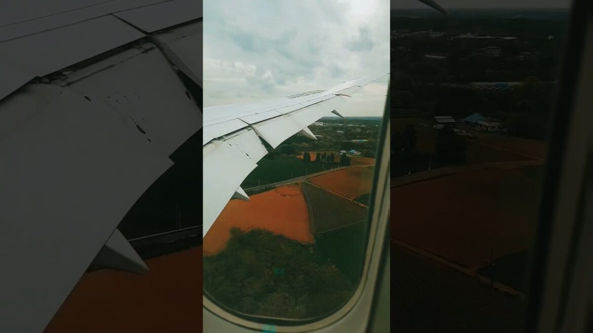 Plane Landing in Japan Tokyo Narita international Airport ANA