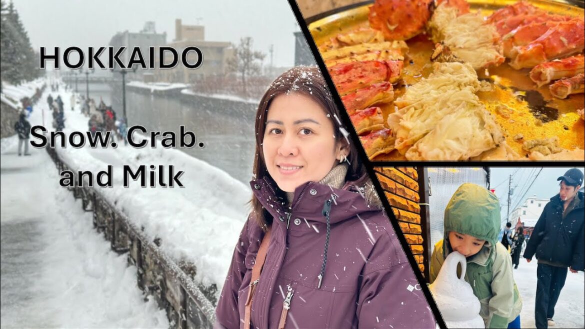 Sapporo, Hokkaido Winter Guide: Arctic Zoo, Local Food & Chocolate Tour Sapporo, Hokkaido Winter Guide: Arctic Zoo, Local Food & Chocolate Tour