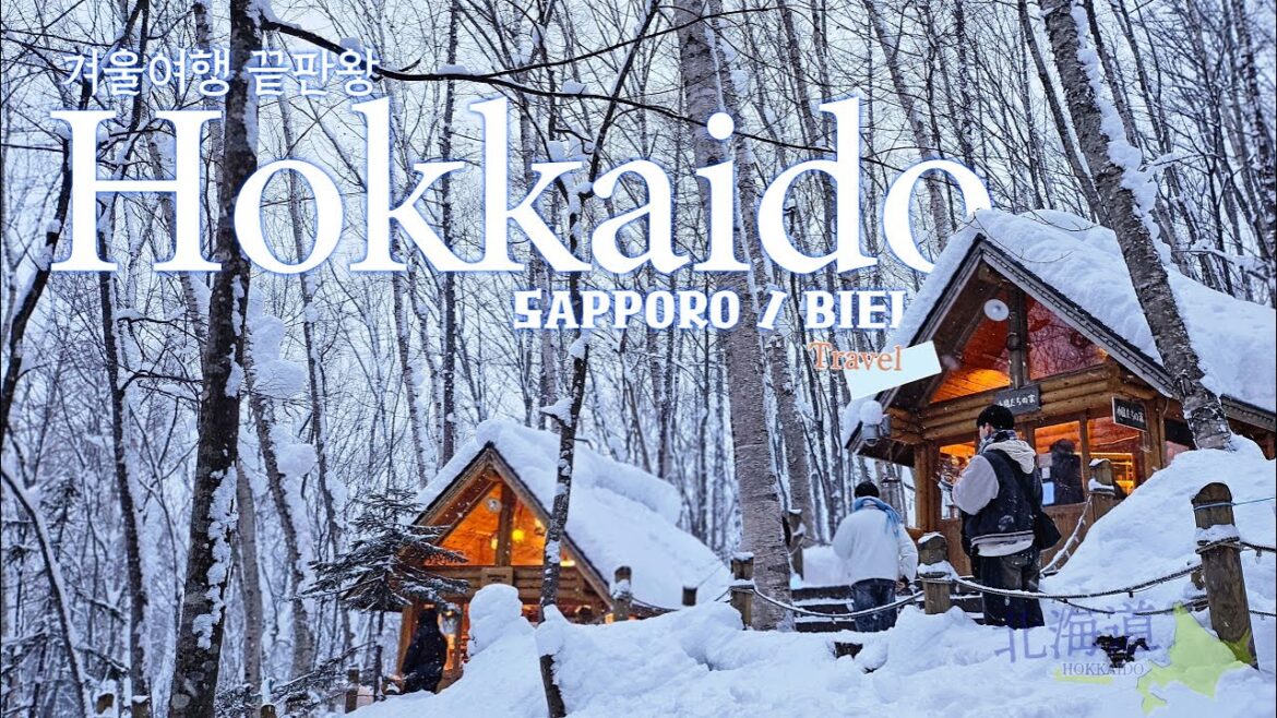 ❄️설국🇯🇵 삿포로 여행 5박6일 VLOG _ 정보, 경비, 꿀팁, 맛집 (& 비에이투어) 📍HOKKAIDO |🗼 SAPPORO | 🚋 SUSUKINO |🎄 BIEI  [EP1.]