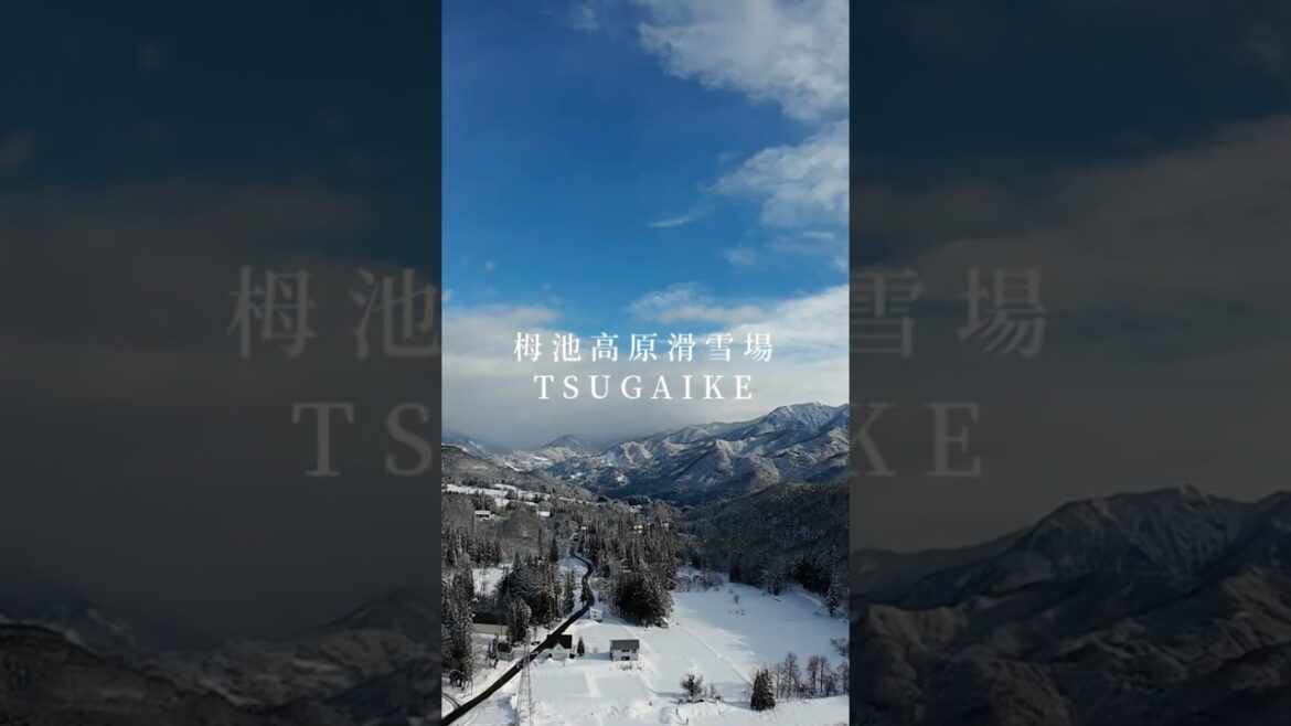 第一次去日本滑雪不知道去哪嗎 栂池也許是你最好的選擇之一尤其對新手很友善 也有刺激的雪道完整影片在YouTube Nobody Journey-艾倫摸摸#栂池高原スキー場 #日本 #滑雪