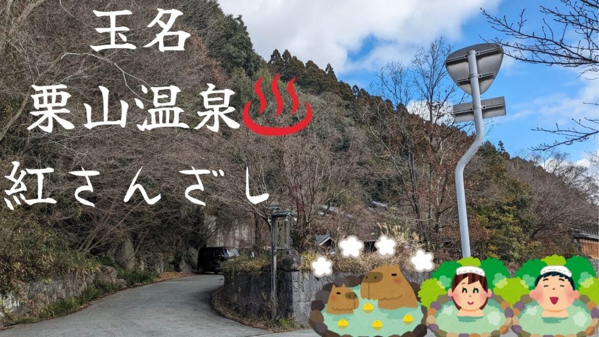 熊本・玉名への日帰り旅行: おそば、温泉、肥後古代の森 🌿🍜♨️ 熊本・玉名への日帰り旅行: おそば、温泉、肥後古代の森 🌿🍜♨️