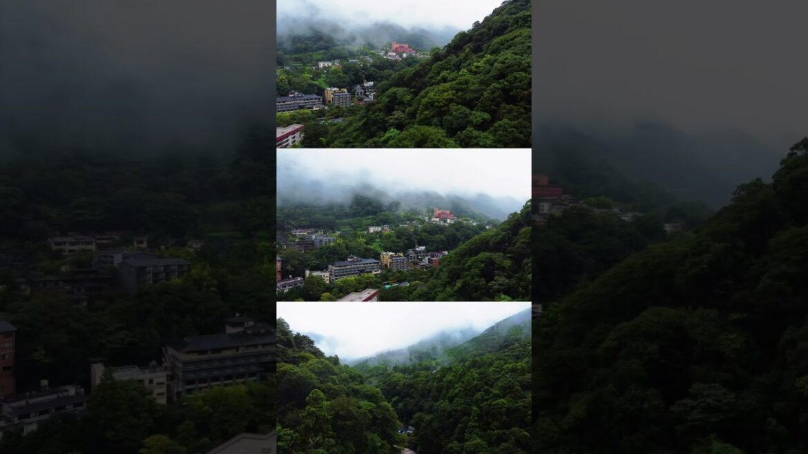 Hakone - Die grüne Oase in Japan 🇯🇵🗻