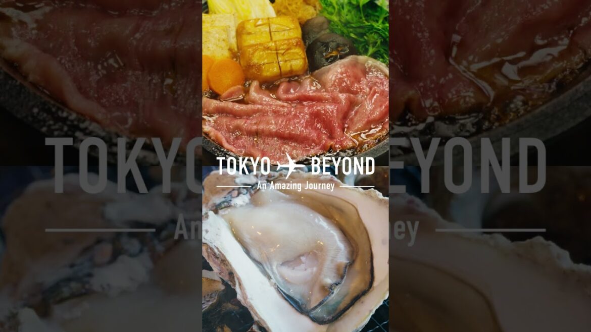 TOKYO and BEYOND | Japan Travel Planner – ANA15sen TOKYO and BEYOND | Japan Travel Planner - ANA_15s_en