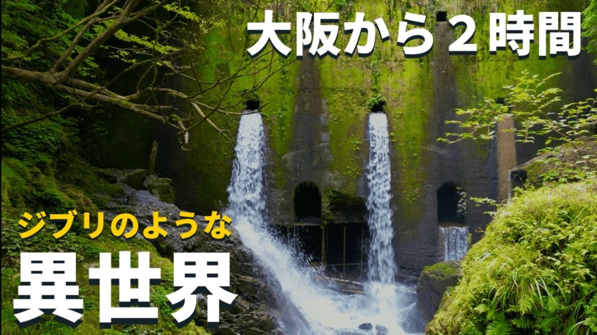 【関西•神秘】大阪から車で2時間「ジブリのような4つの異世界」苔の巨大壁が泣いている・・・ 【関西•神秘】大阪から車で2時間「ジブリのような4つの異世界」苔の巨大壁が泣いている・・・