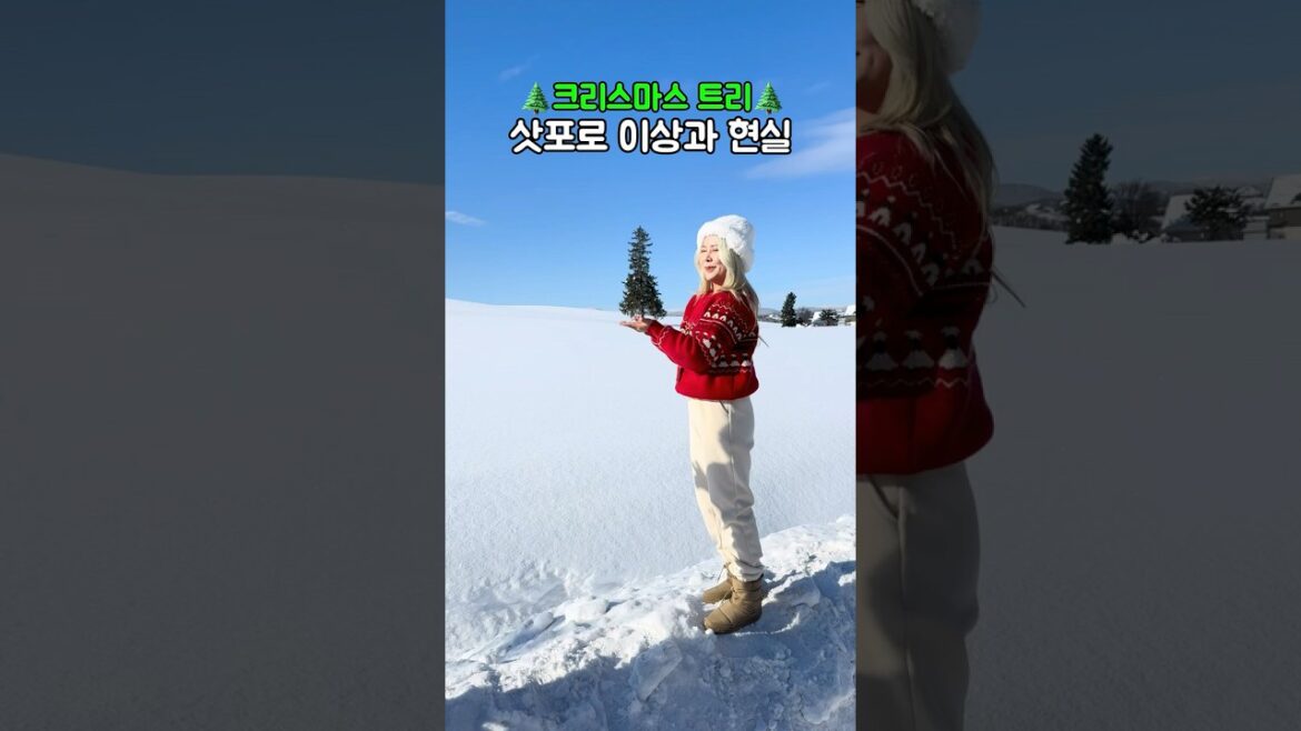 🎄삿포로 여행 비에이투어 현실.ver #sapporo #biei
