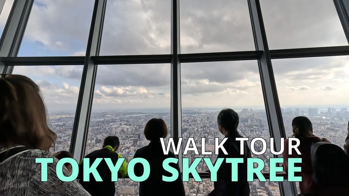 Visiting the Highest point of Tokyo Visiting the Highest point of Tokyo