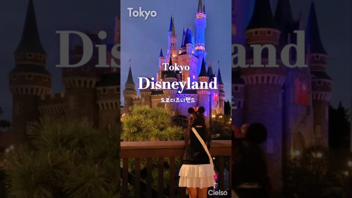 도쿄 여행 Day.2 도쿄디즈니랜드 놀이기구