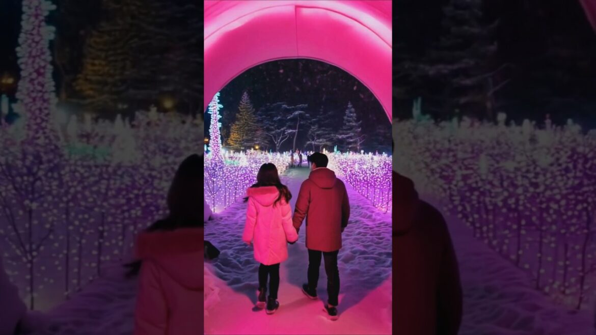 Places on Earth that Don’t Feel Real #shorts #228 Places on Earth that Don't Feel Real #shorts #228