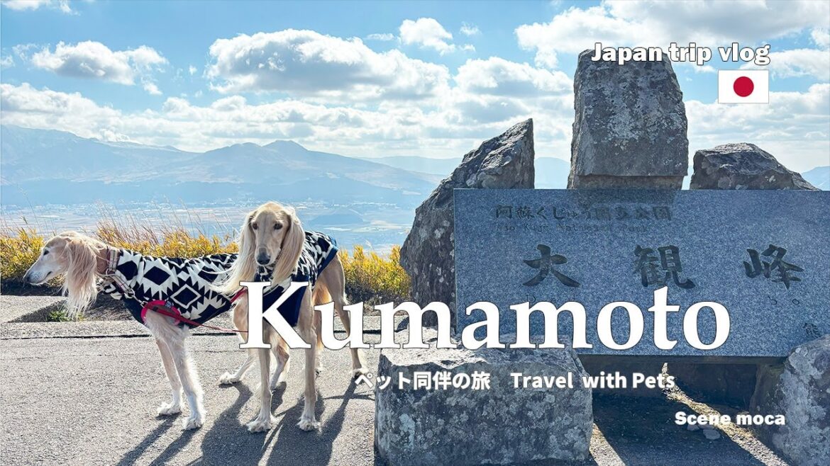 【熊本旅行-ペット同伴の旅】No.2 4K動画#熊本 #阿蘇ドライブ#ペット同伴#阿蘇 【熊本旅行-ペット同伴の旅】No.2 4K動画#熊本 #阿蘇ドライブ#ペット同伴#阿蘇