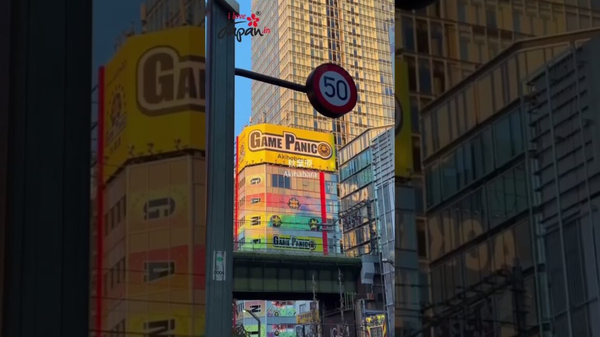 SHIBUYA , TOKYO  #japan #travel #japantraveller #japaneseculture #visitjapan #christmas #japantown